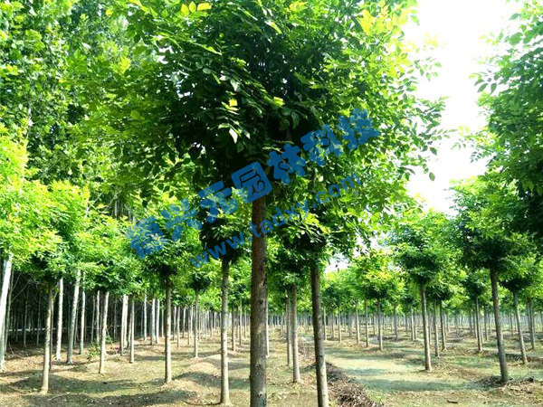 �c���鿴Ԕ����Ϣ���}����Ϟ ��x�Δ���2526